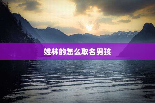 姓林的怎么取名男孩