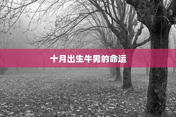 十月出生牛男的命运