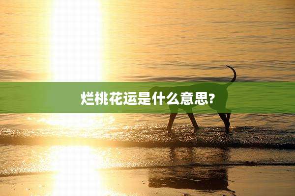 烂桃花运是什么意思?