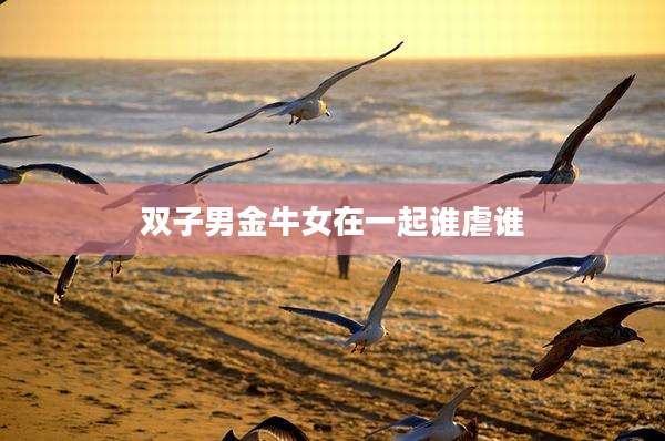 双子男金牛女在一起谁虐谁