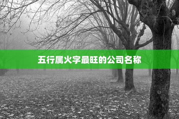 五行属火字最旺的公司名称