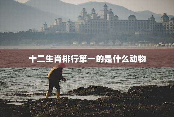 十二生肖排行第一的是什么动物
