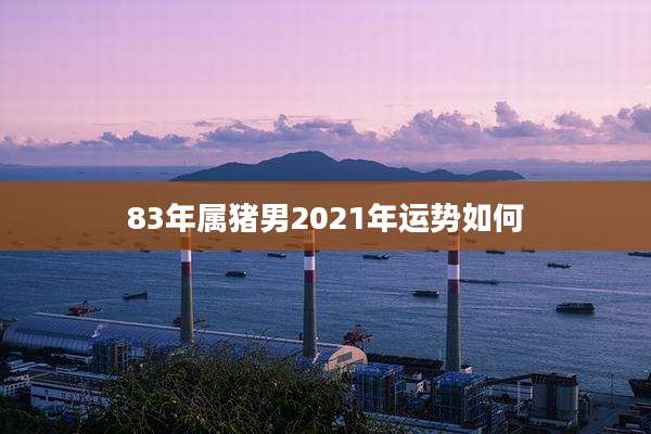 83年属猪男2021年运势如何