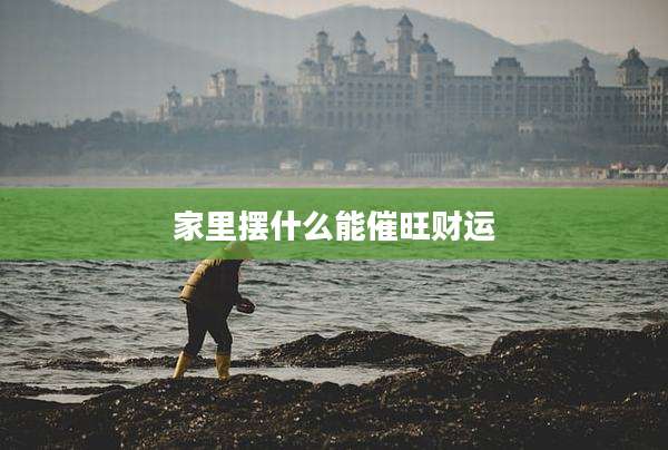 家里摆什么能催旺财运