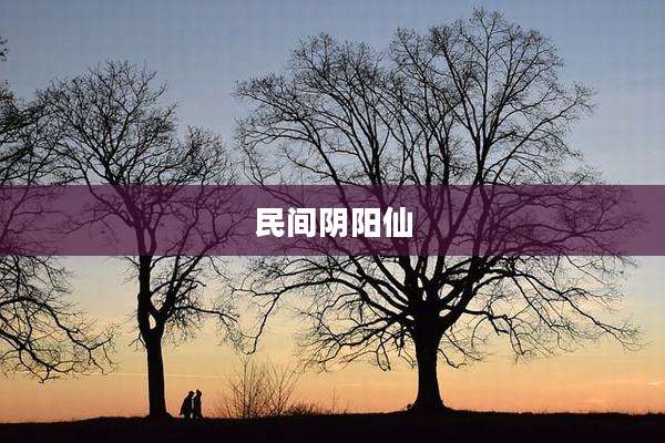民间阴阳仙