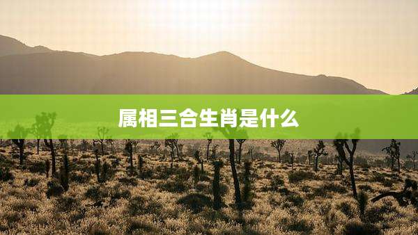 属相三合生肖是什么