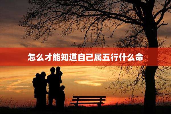 怎么才能知道自己属五行什么命