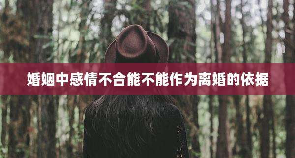 婚姻中感情不合能不能作为离婚的依据