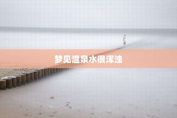 梦见温泉水很浑浊