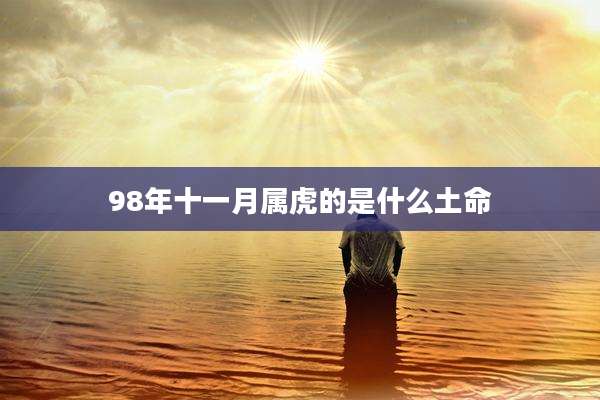 98年十一月属虎的是什么土命