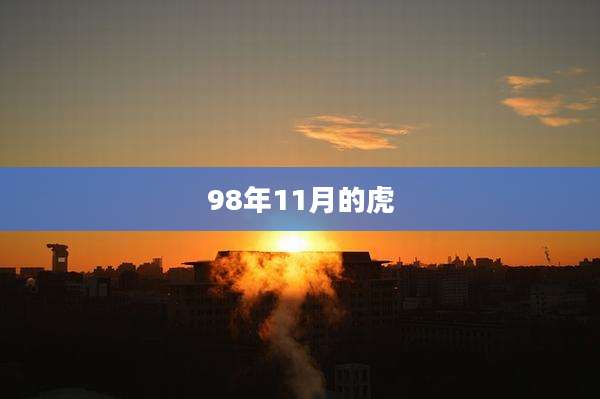 98年11月的虎