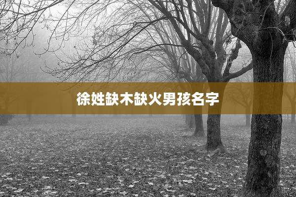 徐姓缺木缺火男孩名字