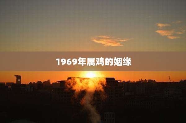 1969年属鸡的姻缘