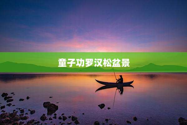 童子功罗汉松盆景