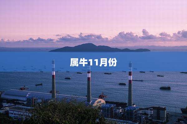 属牛11月份