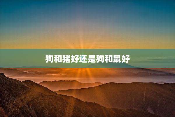 狗和猪好还是狗和鼠好