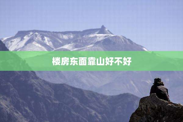楼房东面靠山好不好