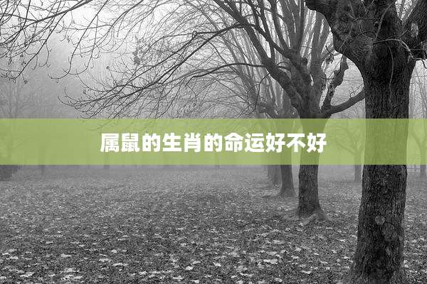 属鼠的生肖的命运好不好