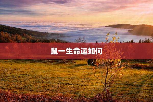 鼠一生命运如何