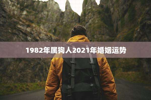 1982年属狗人2021年婚姻运势