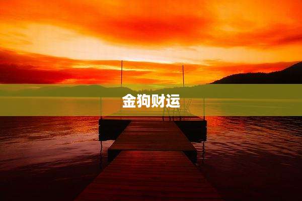 金狗财运
