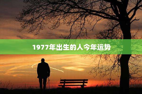 1977年出生的人今年运势