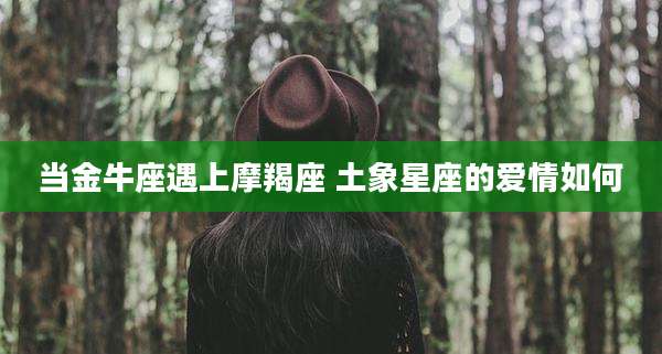 当金牛座遇上摩羯座 土象星座的爱情如何