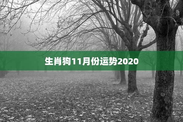 生肖狗11月份运势2020