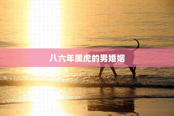 八六年属虎的男婚姻