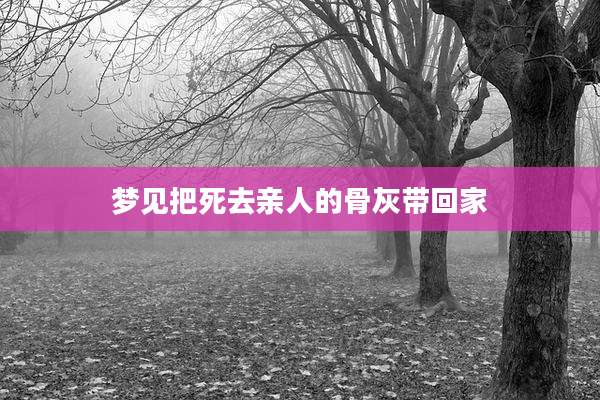 梦见把死去亲人的骨灰带回家