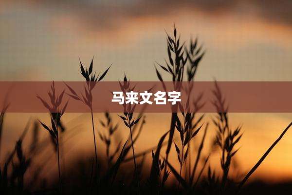 马来文名字