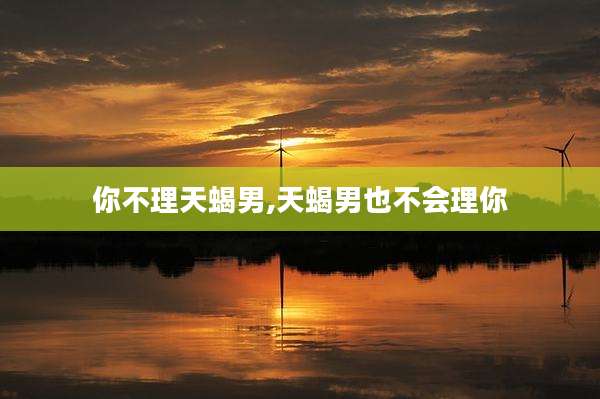你不理天蝎男,天蝎男也不会理你