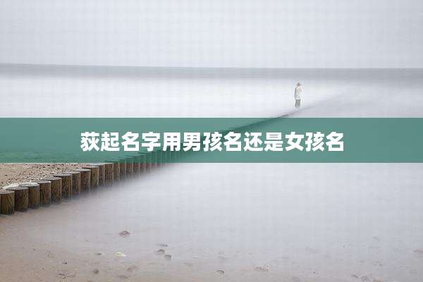 荻起名字用男孩名还是女孩名