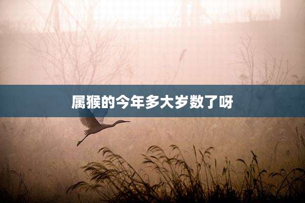 属猴的今年多大岁数了呀