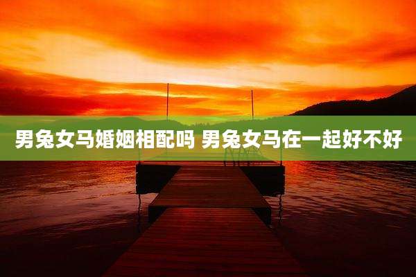 男兔女马婚姻相配吗 男兔女马在一起好不好