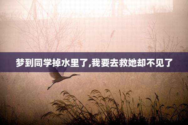 梦到同学掉水里了,我要去救她却不见了