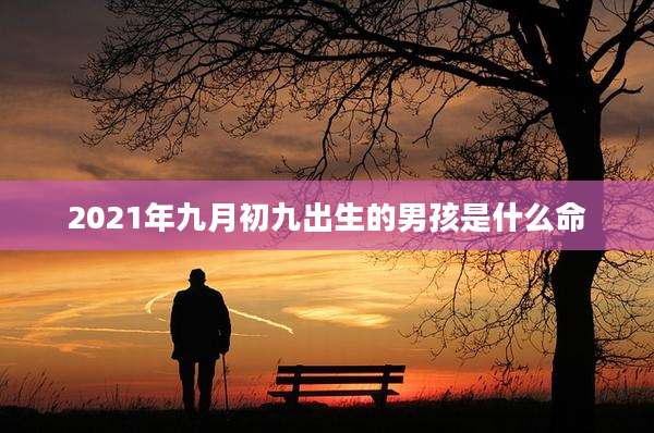 2021年九月初九出生的男孩是什么命