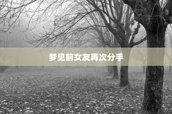 梦见前女友再次分手