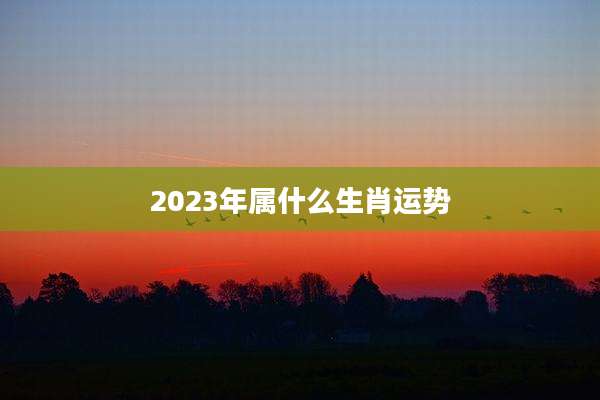 2023年属什么生肖运势