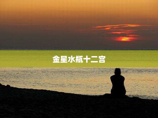 金星水瓶十二宫