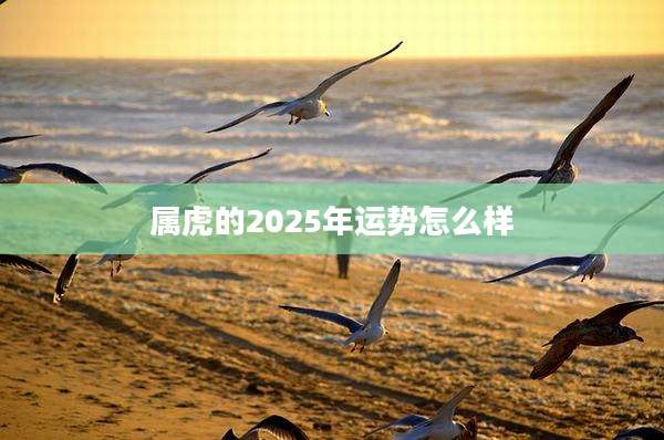 属虎的2025年运势怎么样