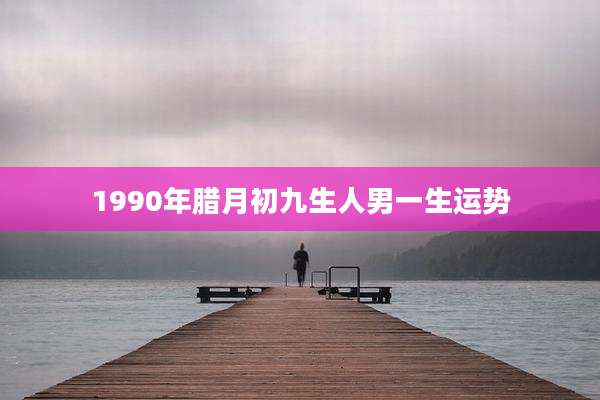 1990年腊月初九生人男一生运势