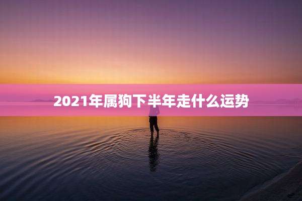 2021年属狗下半年走什么运势
