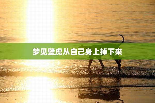 梦见壁虎从自己身上掉下来