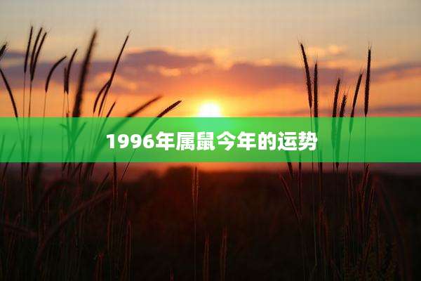 1996年属鼠今年的运势