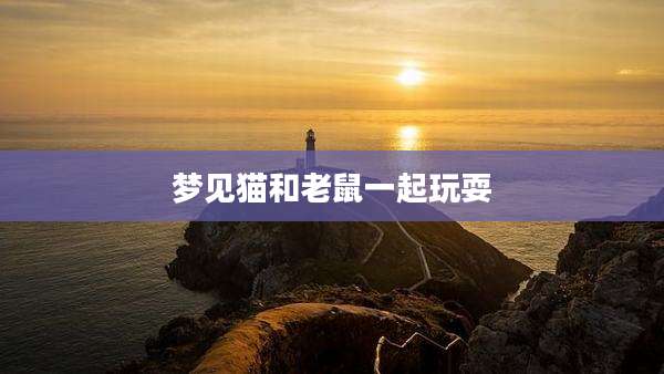 梦见猫和老鼠一起玩耍
