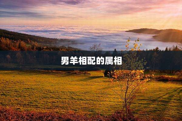 男羊相配的属相