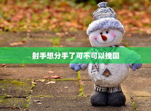 射手想分手了可不可以挽回