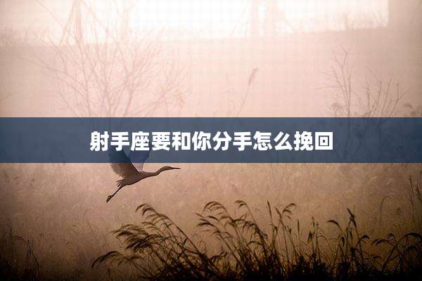 射手座要和你分手怎么挽回