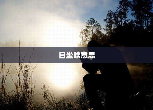日坐啥意思